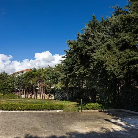 Kataleya Σβορωνάτα
