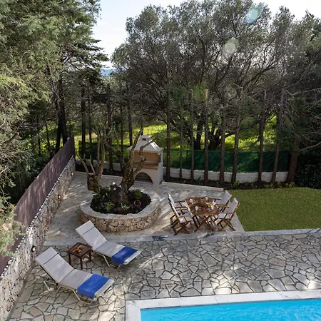 Kataleya * סבורונטה